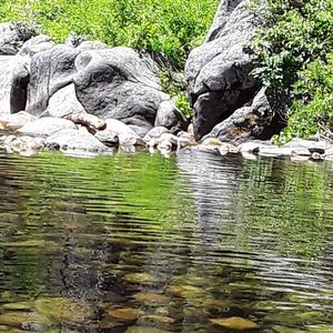 Meet your Posher, Lee